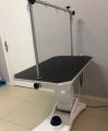 Petra Pet Shop ve Pet Kuaför resim 2