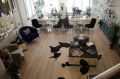 Arzu Sarıateş Beauty Center resim 4