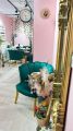 E.K Coiffeur resim 4