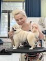 My Perry Pet Salon & Academy resim 3