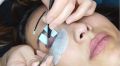 Pradiva Beauty resim 4