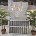 Jadore Beauty resim 2