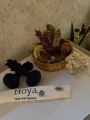 Hoya Nail and Beauty resim 3