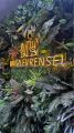 Musa Evrensel Barber’s Club resim 5