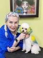 My Perry Pet Salon & Academy resim 5