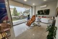 Verditer Beauty resim 2